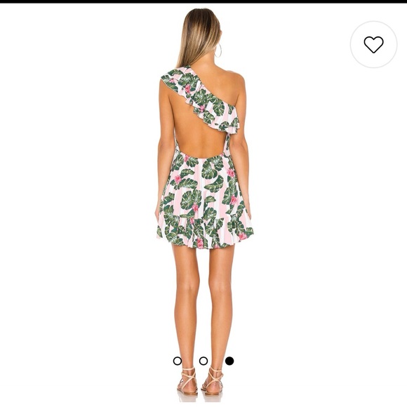 Lovers and Friends vguc mini dress - Picture 3 of 8